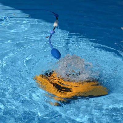 Dolphin W20 Poolroboter ab 20 cm Wassertiefe Commercial Line Fernbedienung